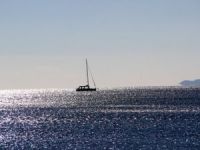 Bilim insanları Türkiye'nin denizlerine ömür biçti