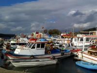 Çeşme’deki balıkçılar barınaklarına çözüm istiyor