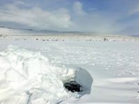 Donan gölde balıklar için hava delikleri açtılar