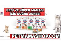 Köpekler İçin Doğru Ürünler petmamashop.com da