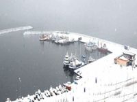 Samsun'da gemi trafiği durdu, gemiler limanlara yanaşamıyor