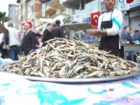 Bursa Gürsu Belediye'si hamsi festivali düzenliyor