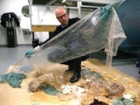 Balinanın midesinden 30 plastik torba çıktı