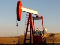 Türkiye petrol ihtiyacının yüzde 20'sini kendi karşılayacak