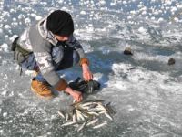 Sivas'ta donan gölde, balıklar telef oldu!