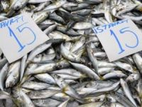 'Tezgahlarda ne hamsi var ne de istavrit'