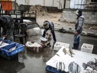 Sınır kapısının açılmasıyla Gazze balık pazarına hayat geldi