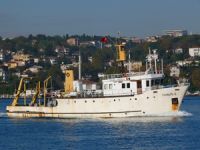 Doğu Marmara'da demersal balık stoklarının tespiti yapılacak