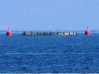 Ayvalık'ta balık çiftlikleri için bilirkişi incelemesi yapıldı