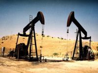 Arar Petrol, 5 petrol arama ruhsatı için başvuru yaptı