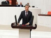 Mustafa Ali Balbay Aliağa'daki petrol sızıntısını meclis gündemine taşıdı