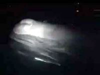 Akdeniz kıyılarında dev balina balıkçı teknesine çarptı