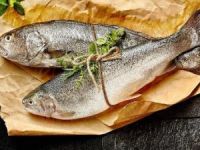 Türk su ürünleri Meksika'da tanıtıldı