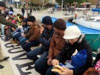 Çanakkale'nin Ayvacık ilçesinde 42 kaçak göçmen yakalandı