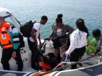 Çanakkale Ayvacık'ta 50 kaçak yakalandı