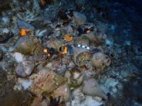 Çin'de 400 yıl önce batan gemilerden hazine çıktı