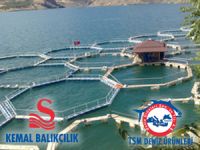 Rusya, iki Türk şirketinin denetimlerini sıkılaştırdı