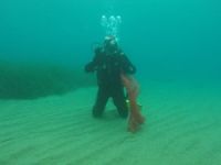 Dalgıçlar denizin altını, çocuklar plajı temizledi