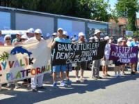 Ayvalık'taki iki balık çiftliği kaldırıldı