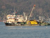 'Balık sezonu beklentilerin altında kaldı'