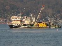 Balıkçıların umudu 1 Eylül'de başlayacak yeni sezona kaldı