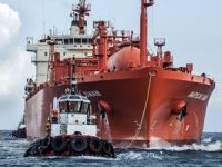 İskenderun liman sınırları değişti, Toros Tarım Limanı'nın kılavuz ve römorkör izni iptal edildi