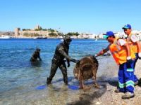 Bodrum'da deniz dibi temizliğine devam ediliyor