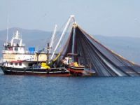 Uluslararası sularda avcılık serbest olacak