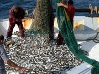 Av yasağı başladı, balık fiyatları arttı