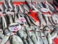 Av yasağının başlamasıylaı balık fiyatları artışa geçti