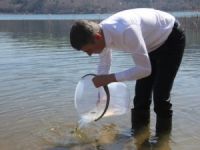 Abant Gölü'ne 51 bin adet Abant Alabalığı bırakıldı