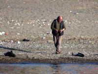 Silahla vurulan yunuslar bulunamadı, balıkçılar serbest kaldı