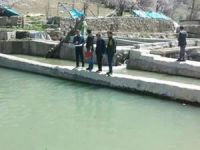 Van'da balık tesisleri ve kuluçkahanelerde denetim yapıldı