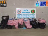İzmit ve Pendik limanlarında uyuşturucu ele geçirildi