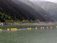 Uzungöl'de 115 bin metreküplük alan temizlendi