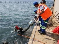 Bodrum'da 'Denize en çok mavi yakışır' sloganıyla denizdibi temizliği yapıldı