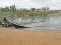 Hirfanlı Baraj Gölü'nden çıkartılan gümüş balıkları Avrupa'ya ihraç ediliyor