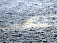 Konyaaltı Sahili'ndeki sarı tabakanın nedeni açıklandı