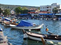 Foça'da sürdürülebilir balıkçılık çalıştayı yapılacak