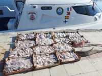 Trol tekneleriyle balık avlayanlara 20 bin lira ceza kesildi