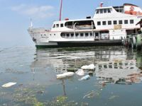 İzmir Kordon boyunda denizin kirliliği dikkat çekti