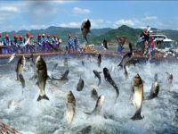 İsrail Gazze'deki 9 mil balık avlama süresini uzattı