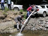 Akçaova Deresi’ne 35 bin kırmızı benekli alabalık yavrusu bırakıldı