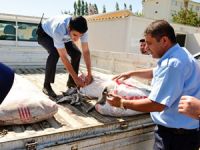 Tuşba’da kaçak balık operasyonu yapıldı