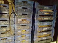 Van’da 10 ton kaçak avlanmış balık ele geçirildi