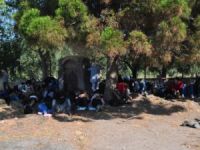 Çanakkale'de 59 göçmen Ege Denizi'ne açılamadan yakalandı