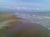 Adana'da deniz ve göl temizliği yapıldı