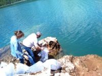 Manavgat Oymapınar Barajı'na 50 bin yavru sazan balığı bırakıldı