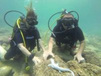Sualtı tutkunlarının gözdesi 'Kekova Adası' oldu