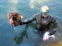 Hatay'da denizden 509 ton atık çıkarıldı